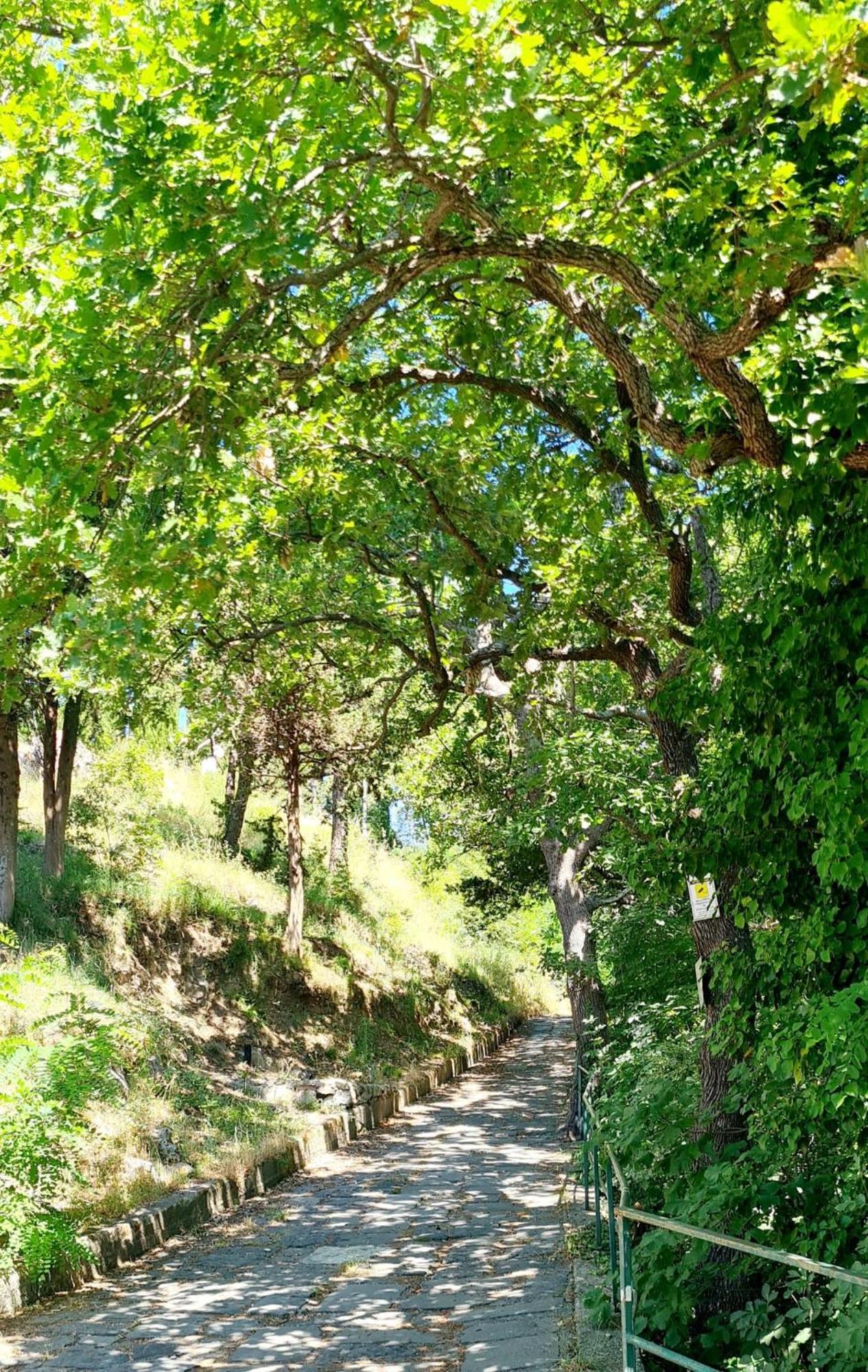Villa Blu Costiera Amalfi Dış mekan fotoğraf